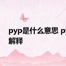 pyp是什么意思 pyp的解释