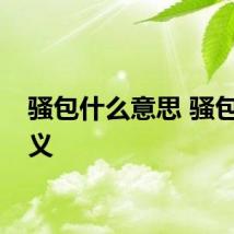 骚包什么意思 骚包的含义