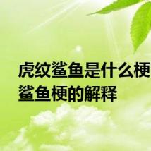 虎纹鲨鱼是什么梗 虎纹鲨鱼梗的解释