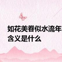 如花美眷似水流年意思 含义是什么