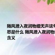 随风潜入夜润物细无声这句诗的意思是什么 随风潜入夜润物细无声的含义