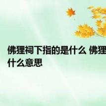 佛狸祠下指的是什么 佛狸祠下是什么意思