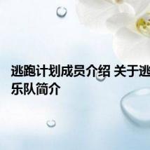 逃跑计划成员介绍 关于逃跑计划乐队简介