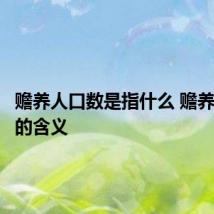 赡养人口数是指什么 赡养人口数的含义