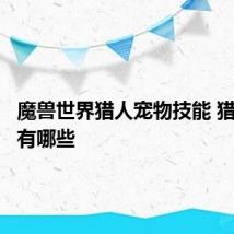 魔兽世界猎人宠物技能 猎人宠物有哪些
