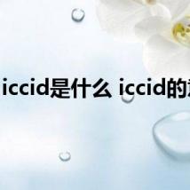 iccid是什么 iccid的意思