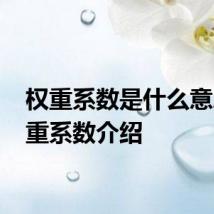 权重系数是什么意思 权重系数介绍