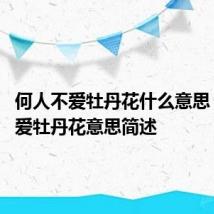 何人不爱牡丹花什么意思 何人不爱牡丹花意思简述