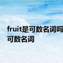 fruit是可数名词吗 是不可数名词