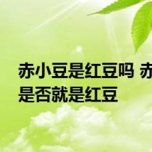 赤小豆是红豆吗 赤小豆是否就是红豆