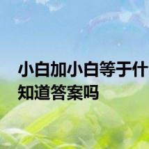 小白加小白等于什么 你知道答案吗