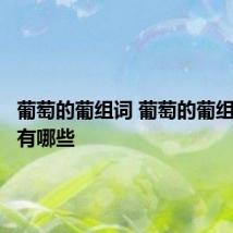 葡萄的葡组词 葡萄的葡组词组词有哪些