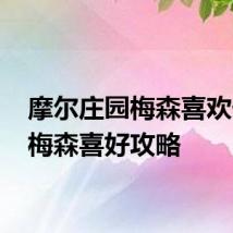 摩尔庄园梅森喜欢什么 梅森喜好攻略