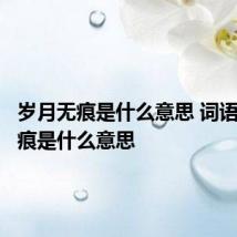 岁月无痕是什么意思 词语岁月无痕是什么意思
