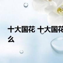 十大国花 十大国花指什么
