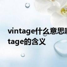 vintage什么意思啊 vintage的含义
