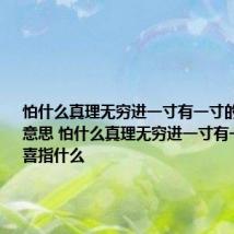 怕什么真理无穷进一寸有一寸的欢喜什么意思 怕什么真理无穷进一寸有一寸的欢喜指什么