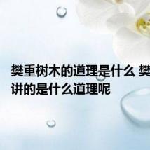 樊重树木的道理是什么 樊重树木讲的是什么道理呢