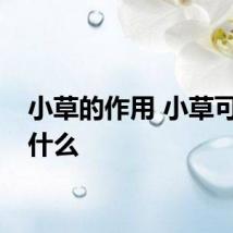 小草的作用 小草可以干什么