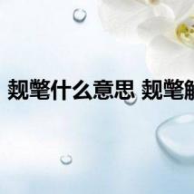 觌氅什么意思 觌氅解释