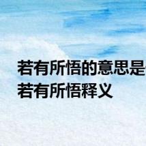 若有所悟的意思是什么 若有所悟释义