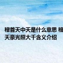 稽首天中天是什么意思 稽首天中天豪光照大千含义介绍