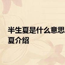 半生夏是什么意思 半生夏介绍