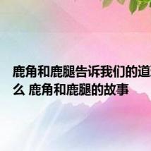 鹿角和鹿腿告诉我们的道理是什么 鹿角和鹿腿的故事