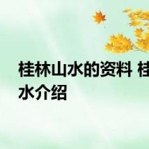 桂林山水的资料 桂林山水介绍