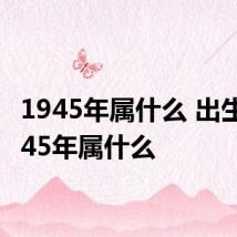 1945年属什么 出生在1945年属什么