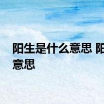 阳生是什么意思 阳生的意思
