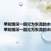早知情深一回沦为东流的水什么歌 早知情深一回沦为东流的水的出处