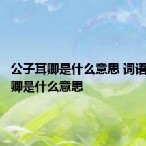 公子耳卿是什么意思 词语公子耳卿是什么意思