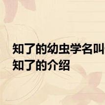 知了的幼虫学名叫什么 知了的介绍
