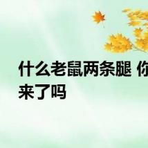 什么老鼠两条腿 你猜出来了吗