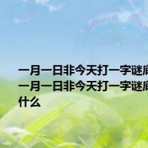 一月一日非今天打一字谜底是什么 一月一日非今天打一字谜底应该是什么