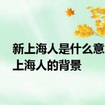 新上海人是什么意思 新上海人的背景
