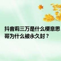 抖音莉三万是什么梗意思 抖音莉哥为什么被永久封？