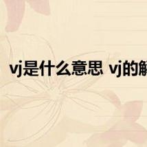 vj是什么意思 vj的解释