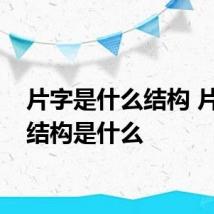 片字是什么结构 片字的结构是什么