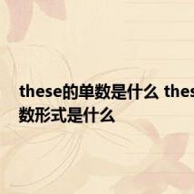 these的单数是什么 these的单数形式是什么