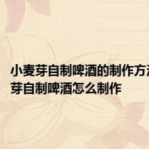 小麦芽自制啤酒的制作方法 小麦芽自制啤酒怎么制作