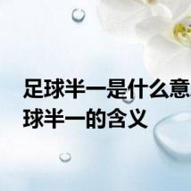 足球半一是什么意思 足球半一的含义
