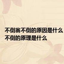 不倒翁不倒的原因是什么 不倒翁不倒的原理是什么
