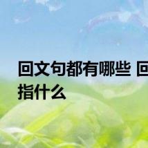 回文句都有哪些 回文句指什么