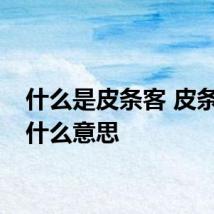什么是皮条客 皮条客是什么意思