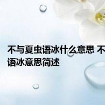 不与夏虫语冰什么意思 不与夏虫语冰意思简述