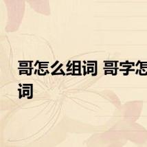哥怎么组词 哥字怎么组词