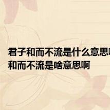 君子和而不流是什么意思啊 君子和而不流是啥意思啊