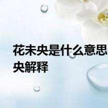 花未央是什么意思 花未央解释